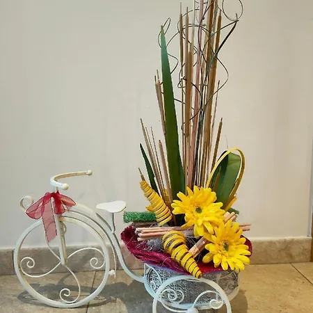 Alborada Affittacamere *